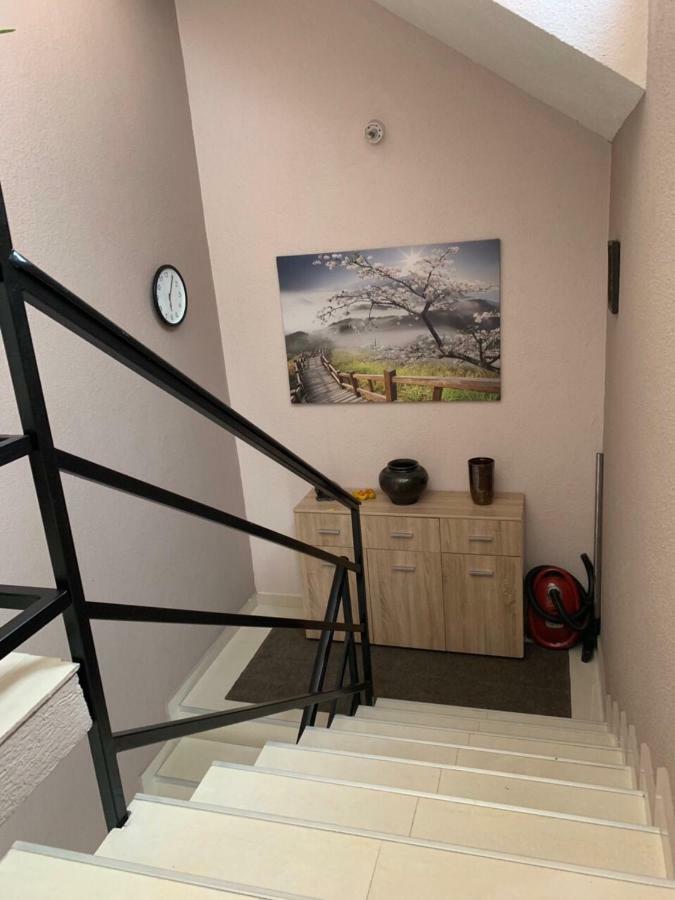 Apartmani Alo Alo Plav Exterior foto